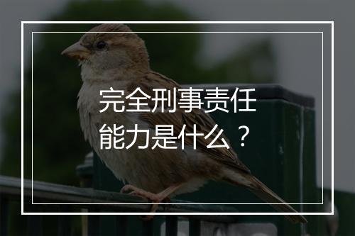 完全刑事责任能力是什么？