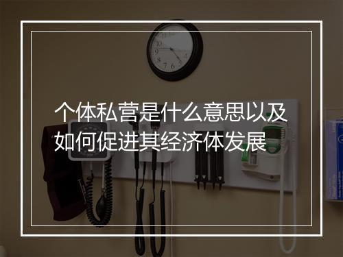 个体私营是什么意思以及如何促进其经济体发展