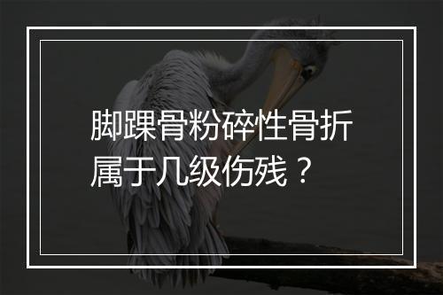 脚踝骨粉碎性骨折属于几级伤残？