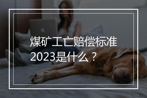 煤矿工亡赔偿标准2023是什么？