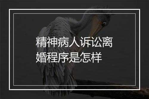 精神病人诉讼离婚程序是怎样