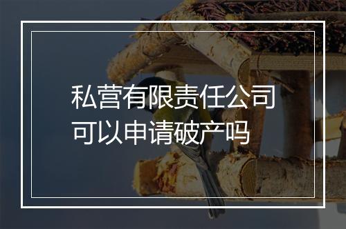 私营有限责任公司可以申请破产吗