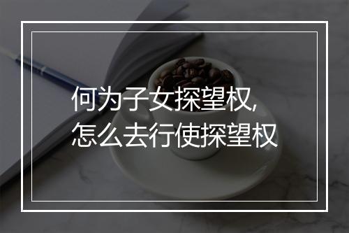 何为子女探望权,怎么去行使探望权