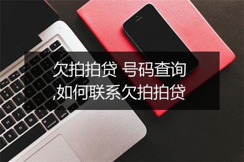 欠拍拍贷 号码查询 ,如何联系欠拍拍贷
