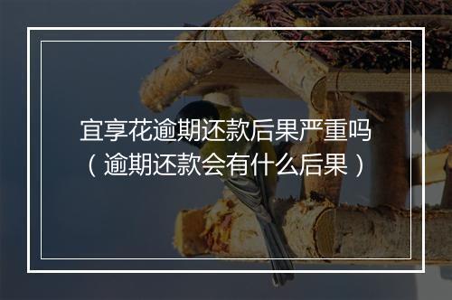 宜享花逾期还款后果严重吗（逾期还款会有什么后果）