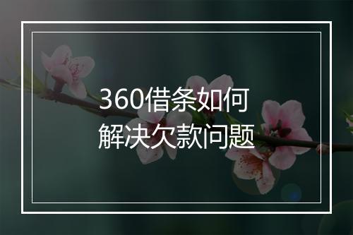 360借条如何解决欠款问题
