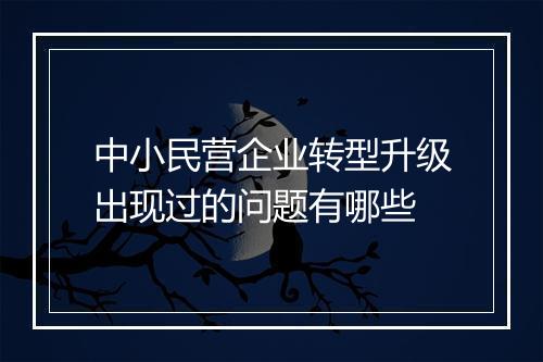 中小民营企业转型升级出现过的问题有哪些