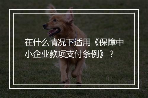 在什么情况下适用《保障中小企业款项支付条例》？