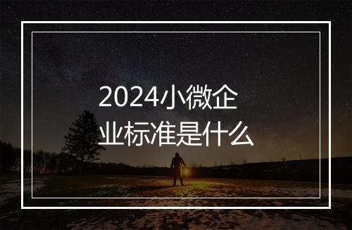 2024小微企业标准是什么