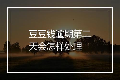 豆豆钱逾期第二天会怎样处理