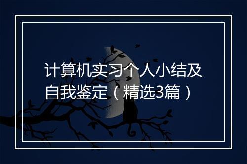 计算机实习个人小结及自我鉴定（精选3篇）