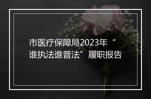 市医疗保障局2023年“谁执法谁普法”履职报告