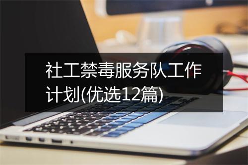 社工禁毒服务队工作计划(优选12篇)
