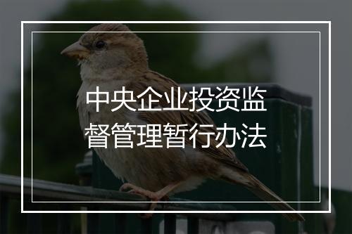 中央企业投资监督管理暂行办法