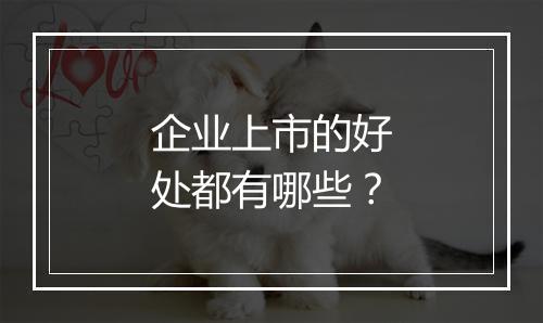 企业上市的好处都有哪些？