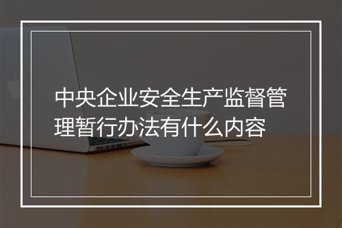 中央企业安全生产监督管理暂行办法有什么内容