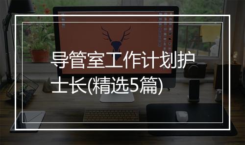 导管室工作计划护士长(精选5篇)