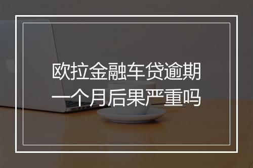 欧拉金融车贷逾期一个月后果严重吗
