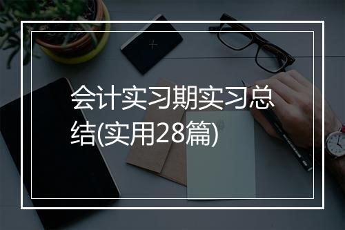 会计实习期实习总结(实用28篇)