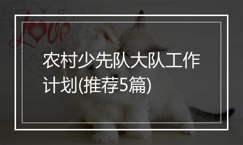 农村少先队大队工作计划(推荐5篇)