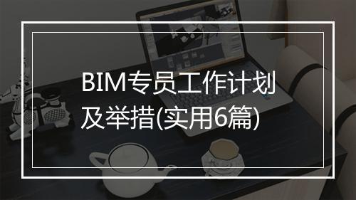 BIM专员工作计划及举措(实用6篇)