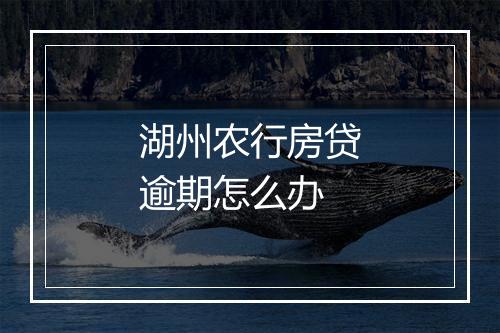 湖州农行房贷逾期怎么办