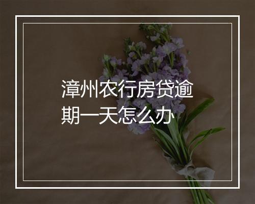 漳州农行房贷逾期一天怎么办