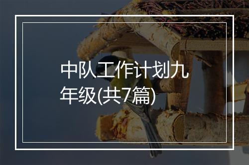 中队工作计划九年级(共7篇)