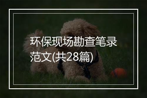 环保现场勘查笔录范文(共28篇)