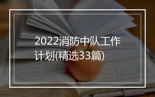 2022消防中队工作计划(精选33篇)