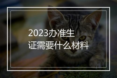 2023办准生证需要什么材料