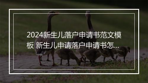 2024新生儿落户申请书范文模板 新生儿申请落户申请书怎么写