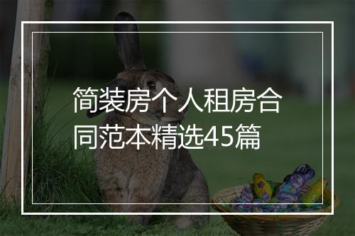 简装房个人租房合同范本精选45篇