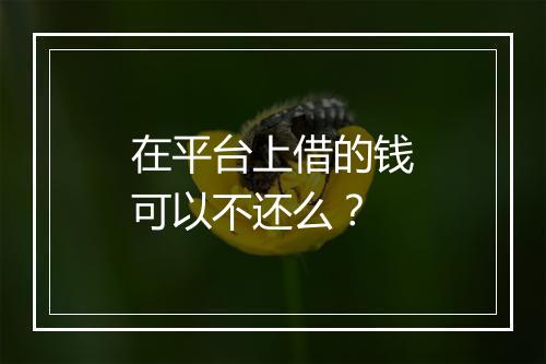 在平台上借的钱可以不还么？
