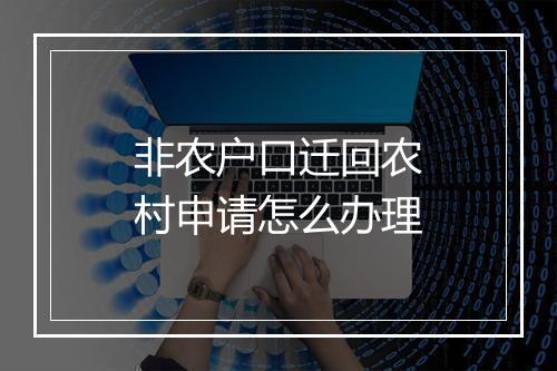 非农户口迁回农村申请怎么办理