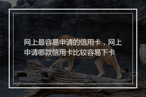 网上最容易申请的信用卡，网上申请哪款信用卡比较容易下卡