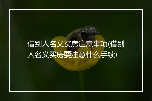 借别人名义买房注意事项(借别人名义买房要注意什么手续)
