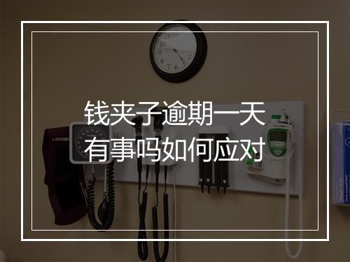 钱夹子逾期一天有事吗如何应对