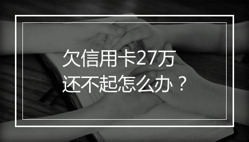 欠信用卡27万还不起怎么办？