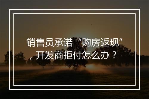 销售员承诺“购房返现”，开发商拒付怎么办？