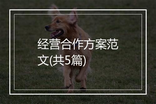 经营合作方案范文(共5篇)