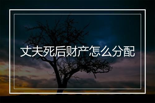 丈夫死后财产怎么分配