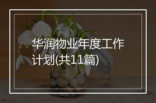 华润物业年度工作计划(共11篇)