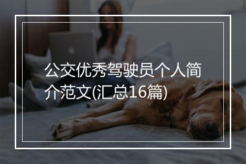 公交优秀驾驶员个人简介范文(汇总16篇)