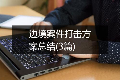 边境案件打击方案总结(3篇)