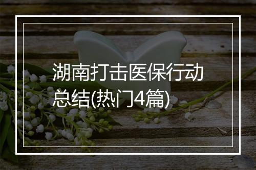 湖南打击医保行动总结(热门4篇)