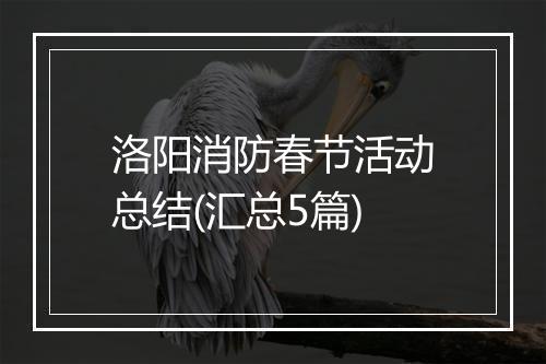 洛阳消防春节活动总结(汇总5篇)