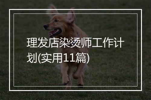 理发店染烫师工作计划(实用11篇)