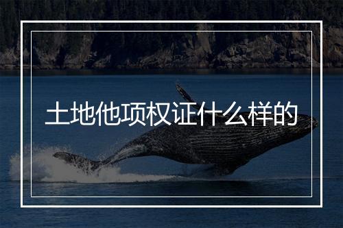 土地他项权证什么样的