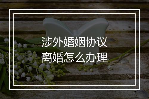 涉外婚姻协议离婚怎么办理